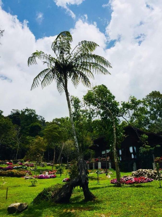 Spring Garden Hotel Kampong Kundassan Buitenkant foto